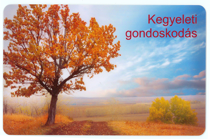 plasztik krtya tervezs