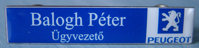 névkitűzők