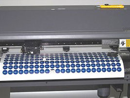 matrick gyrtsa
